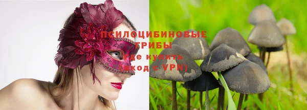 марки nbome Нязепетровск